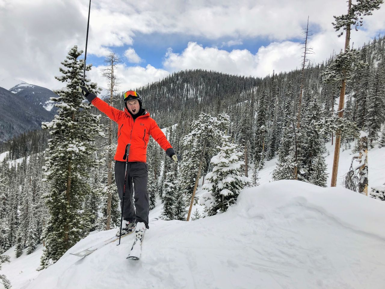 Skiing through the trees